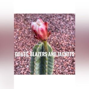 Jackets, Coats, and Blazers